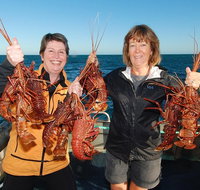 Abrolhos Islands 5 Day Tours - Kingaroy Accommodation