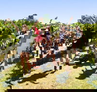 Wine Beer  Chocolate Tour - Kingaroy Accommodation