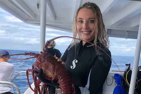 Become A PADI Open Water Diver In 3 Days In Perth - Kingaroy Accommodation 5