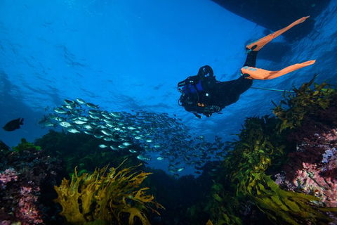 Become A PADI Open Water Diver In 3 Days In Perth - Kingaroy Accommodation 1