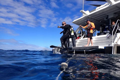 Become A PADI Open Water Diver In 3 Days In Perth - Kingaroy Accommodation 0