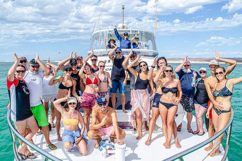 Full-Day Whale Sharks Swimming Experience On Ningaloo Reef - Kingaroy Accommodation 1
