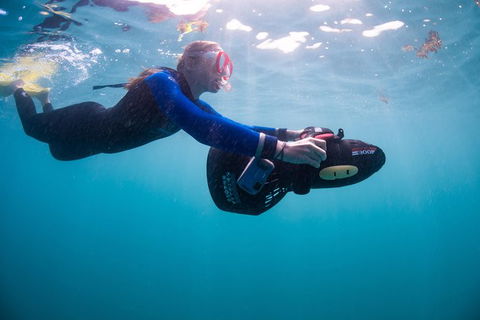 Full-Day Whale Sharks Swimming Experience On Ningaloo Reef - Kingaroy Accommodation 4