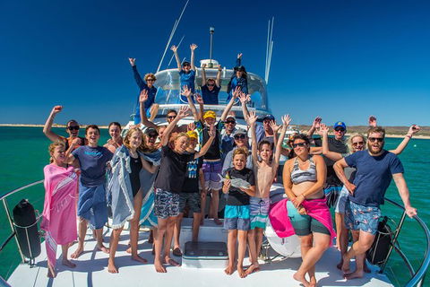 Full-Day Whale Sharks Swimming Experience On Ningaloo Reef - Kingaroy Accommodation 15