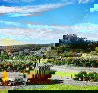 Bickley Valley Wine  Cider Tour - Premium Small Group Tour - Kingaroy Accommodation