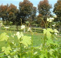 Barwon Ridge Wines - Kingaroy Accommodation