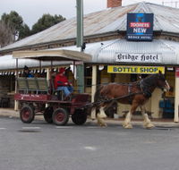 Bathurst Farm Experience - Kingaroy Accommodation