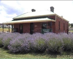 Lavender House In Railway Park - Kingaroy Accommodation 0