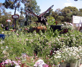 Zanthorrea Nursery - Kingaroy Accommodation 0