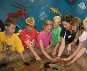 Naturaliste Marine Discovery Centre - Kingaroy Accommodation 0