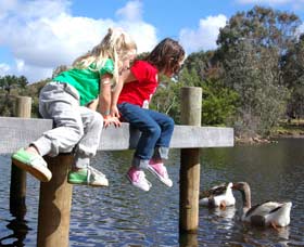 Vasse River And Rotary Park - Kingaroy Accommodation 0