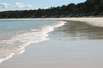 Dolphin Watch Cruises - Kingaroy Accommodation 5