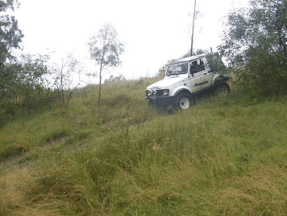 Scenic Rim Adventure Park - Kingaroy Accommodation 1