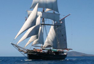 Australian Tallship Cruises - Kingaroy Accommodation 0