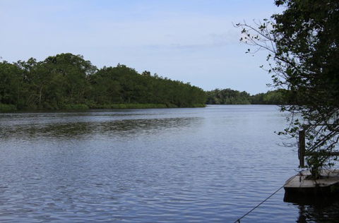 Daintree River Cruise Centre - Kingaroy Accommodation 2