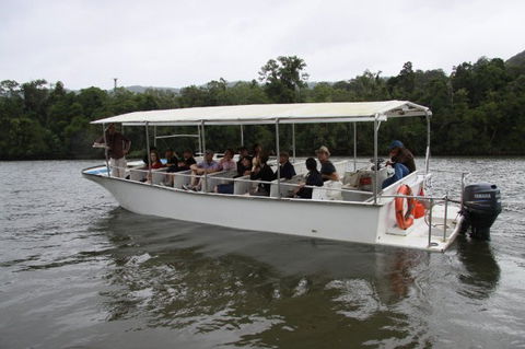 Daintree River Cruise Centre - Kingaroy Accommodation 3