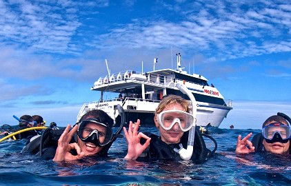 Pro Dive Cairns - Kingaroy Accommodation 0