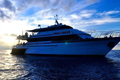 Pro Dive Cairns - Kingaroy Accommodation 1