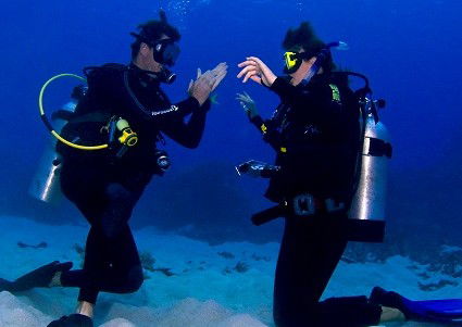 Pro Dive Cairns - Kingaroy Accommodation 2