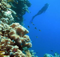 Reef Magic Cruises - Kingaroy Accommodation