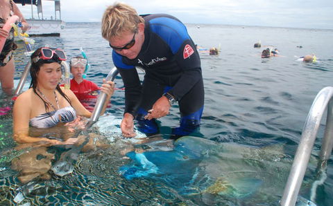 Reef Magic Cruises - Kingaroy Accommodation 4