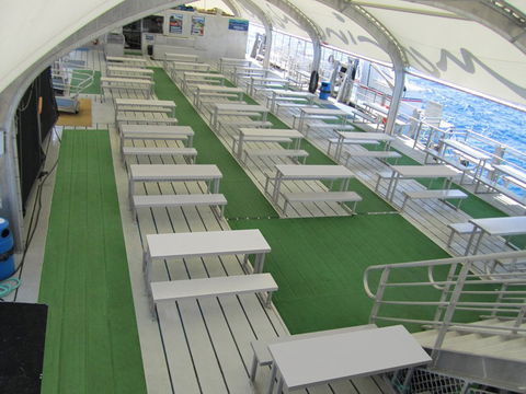 Reef Magic Cruises - Kingaroy Accommodation 5