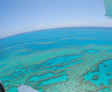Air Whitsunday Seaplanes - Kingaroy Accommodation 0
