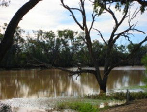 Allan Tannock Weir - Kingaroy Accommodation 2