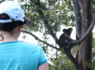 Araucaria Ecotours - Kingaroy Accommodation 1