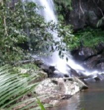 Araucaria Ecotours - Kingaroy Accommodation 4