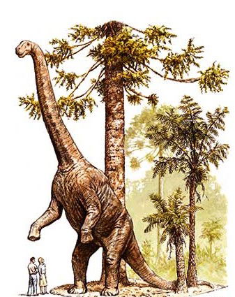 Australian Age Of Dinosaurs - Kingaroy Accommodation 2