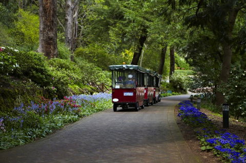 Araluen Botanic Park - Kingaroy Accommodation 0