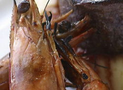 Nicks Bar And Grill - Kingaroy Accommodation 2