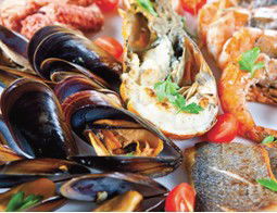 Pelagos Greek Tavern - Kingaroy Accommodation 2