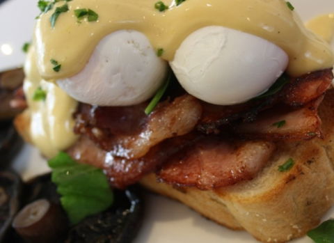Raphael's On Brighton - Kingaroy Accommodation 2