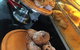 Fresh Chilli Thai Restaurant - thumb 2