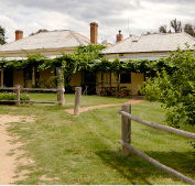 The Blue Duck Inn Hotel - Kingaroy Accommodation