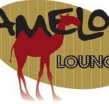 Camelot Lounge - Kingaroy Accommodation