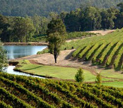 Thomson Brook WA Kingaroy Accommodation