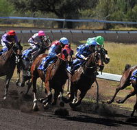 Alice Springs Turf Club - Kingaroy Accommodation