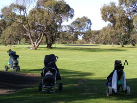 Minlaton Golf Club - Kingaroy Accommodation 3