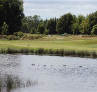 Llanherne Golf Club - Kingaroy Accommodation