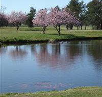 RMC Golf Club - Kingaroy Accommodation