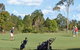Casino Golf Club - thumb 1