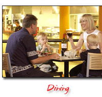 Steelers Club - Kingaroy Accommodation