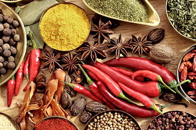 Vamos Melbourne - Kingaroy Accommodation 0