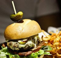 Stitch - Kingaroy Accommodation