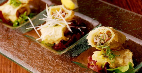 HaNa Ju-Rin Japanese Restaurant - Kingaroy Accommodation 0