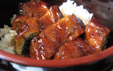 Mino Japanese Restaurant - Kingaroy Accommodation 0