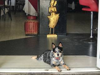 Gatakers Landing Restaurant - Kingaroy Accommodation 4